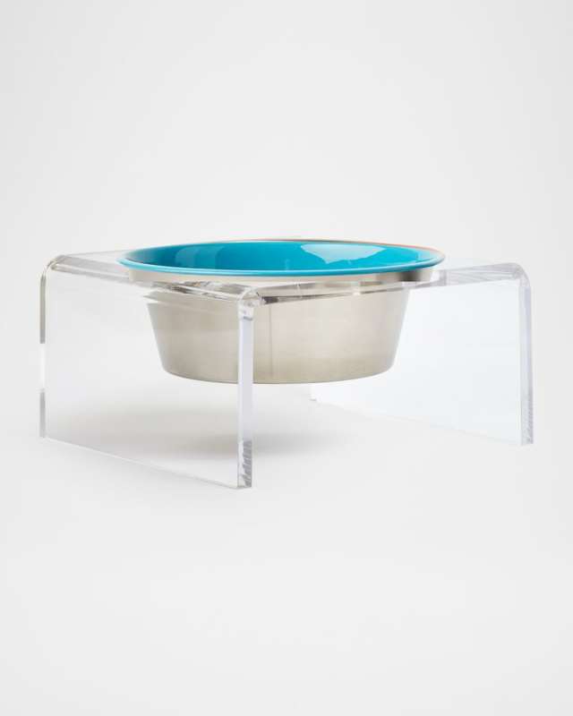 Clear Single Slow Feeder with Slow Feed Bowl, 1 Pint